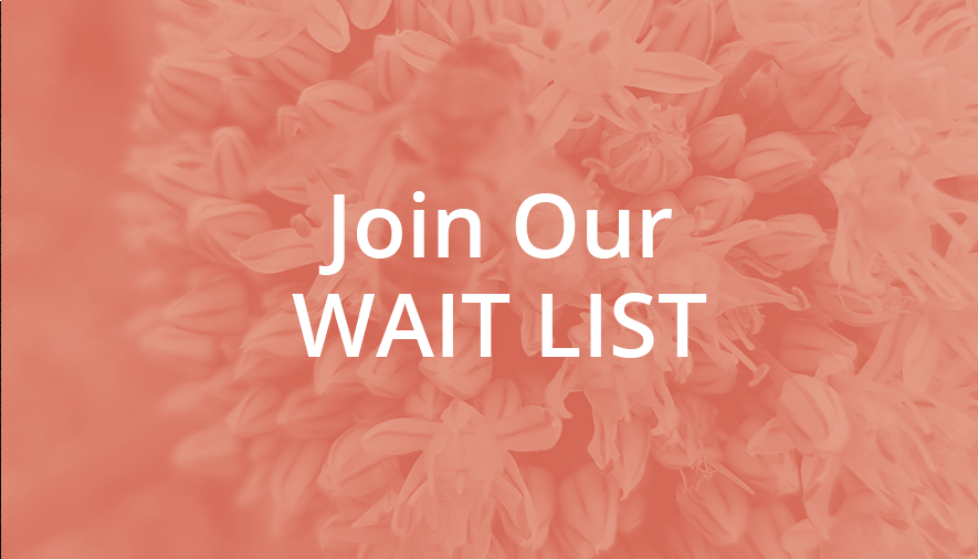 Join Our Wait List